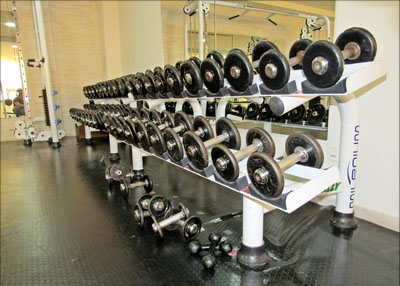 Musculação